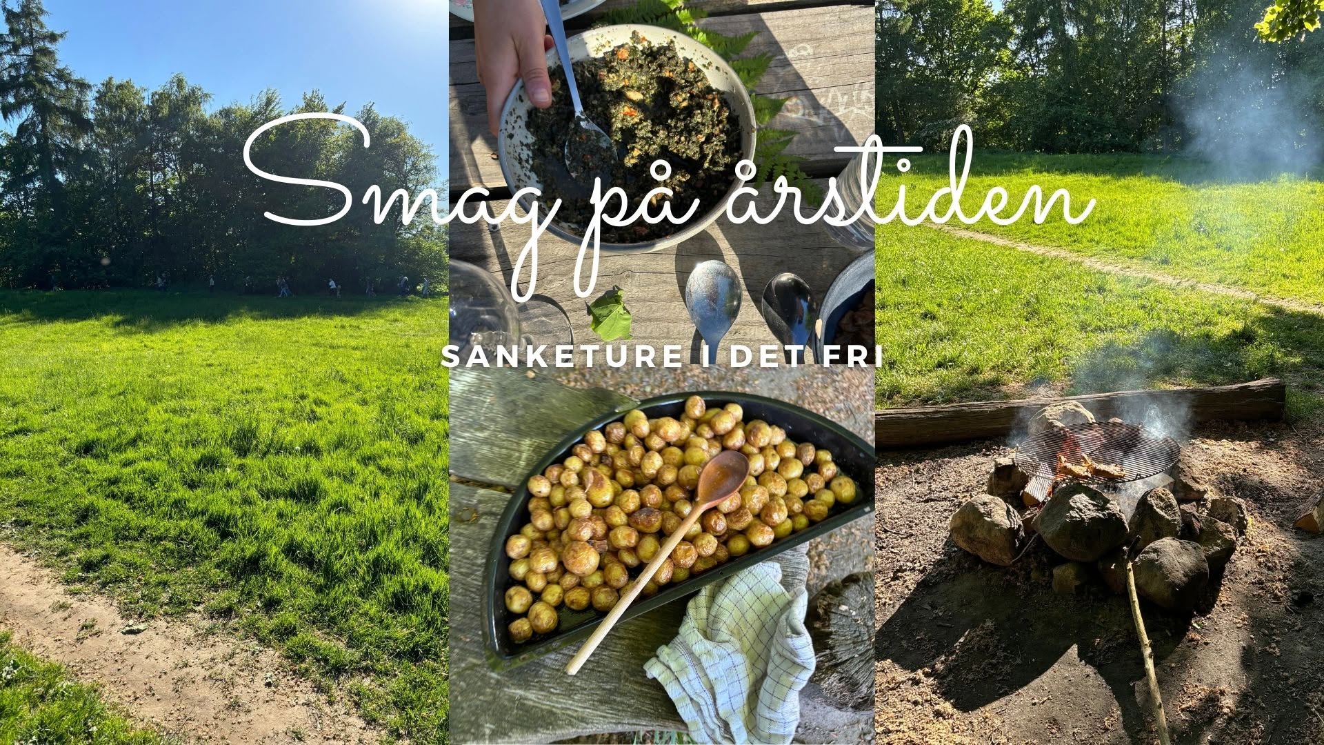 Smag på Årstiden - sanketure i det fri — SUN 22 NOV