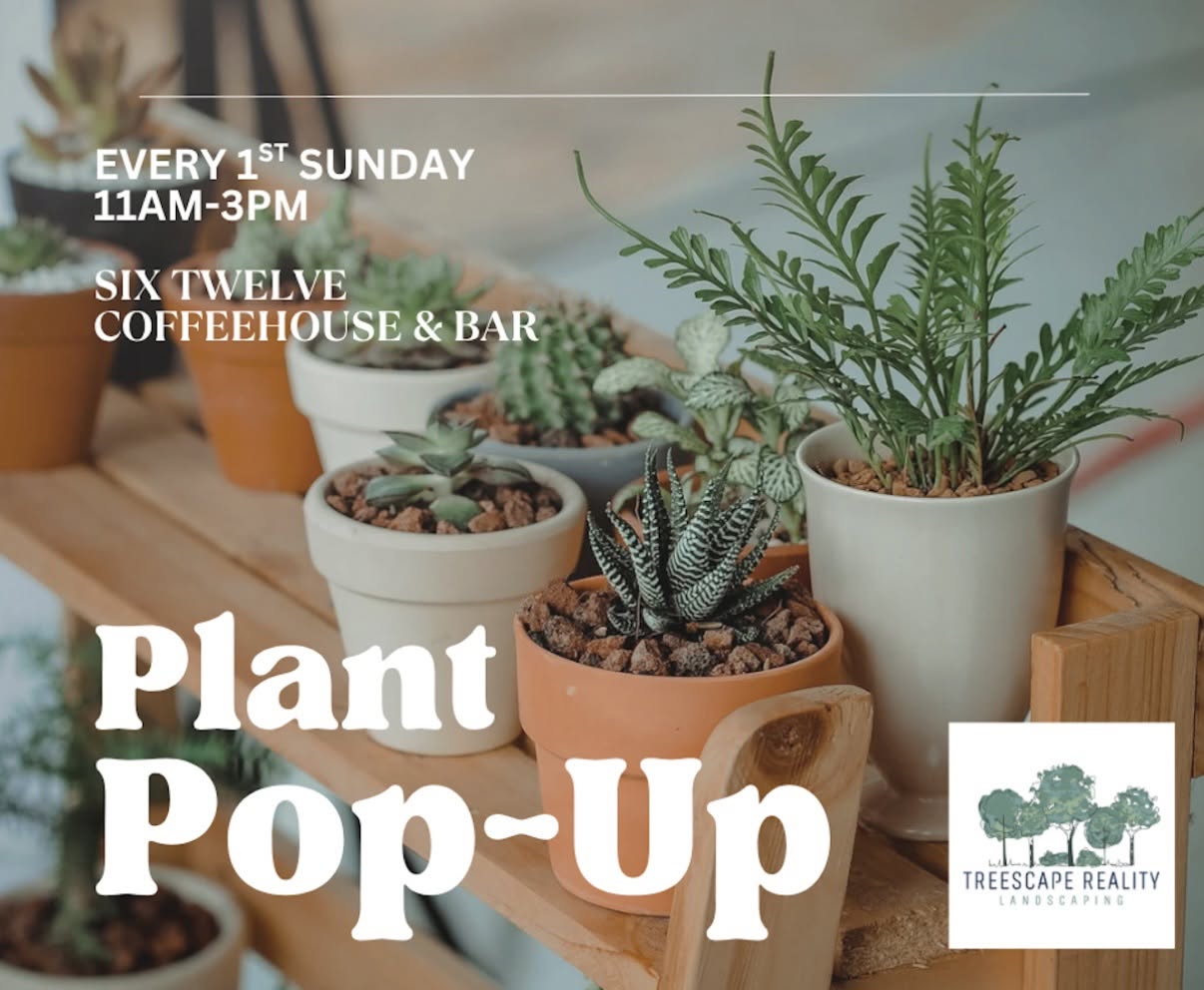 Pop Up Plant Sale! — SUN 4 OCT