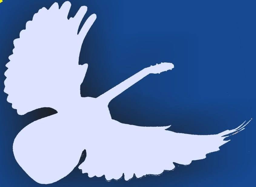 Gitarrissimo 973 - Go Music (Boogie Woogie Abend) — TUE 6 OCT