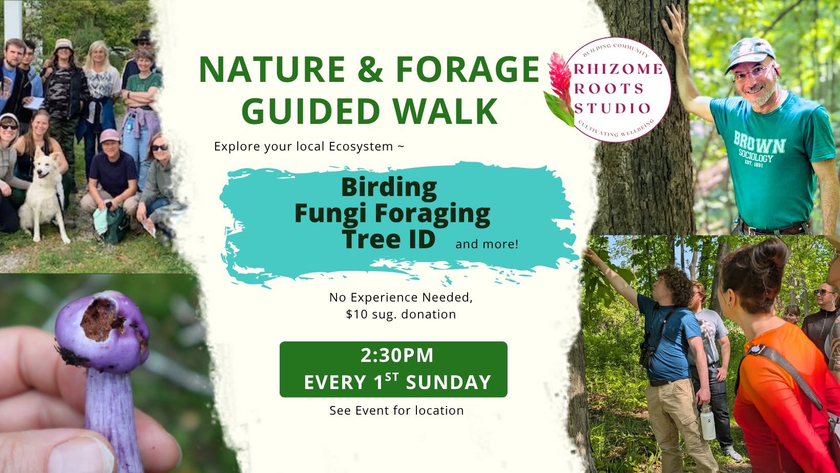 Outdoor Adventures: Guided Nature & Forage Walks  — SUN 1 NOV