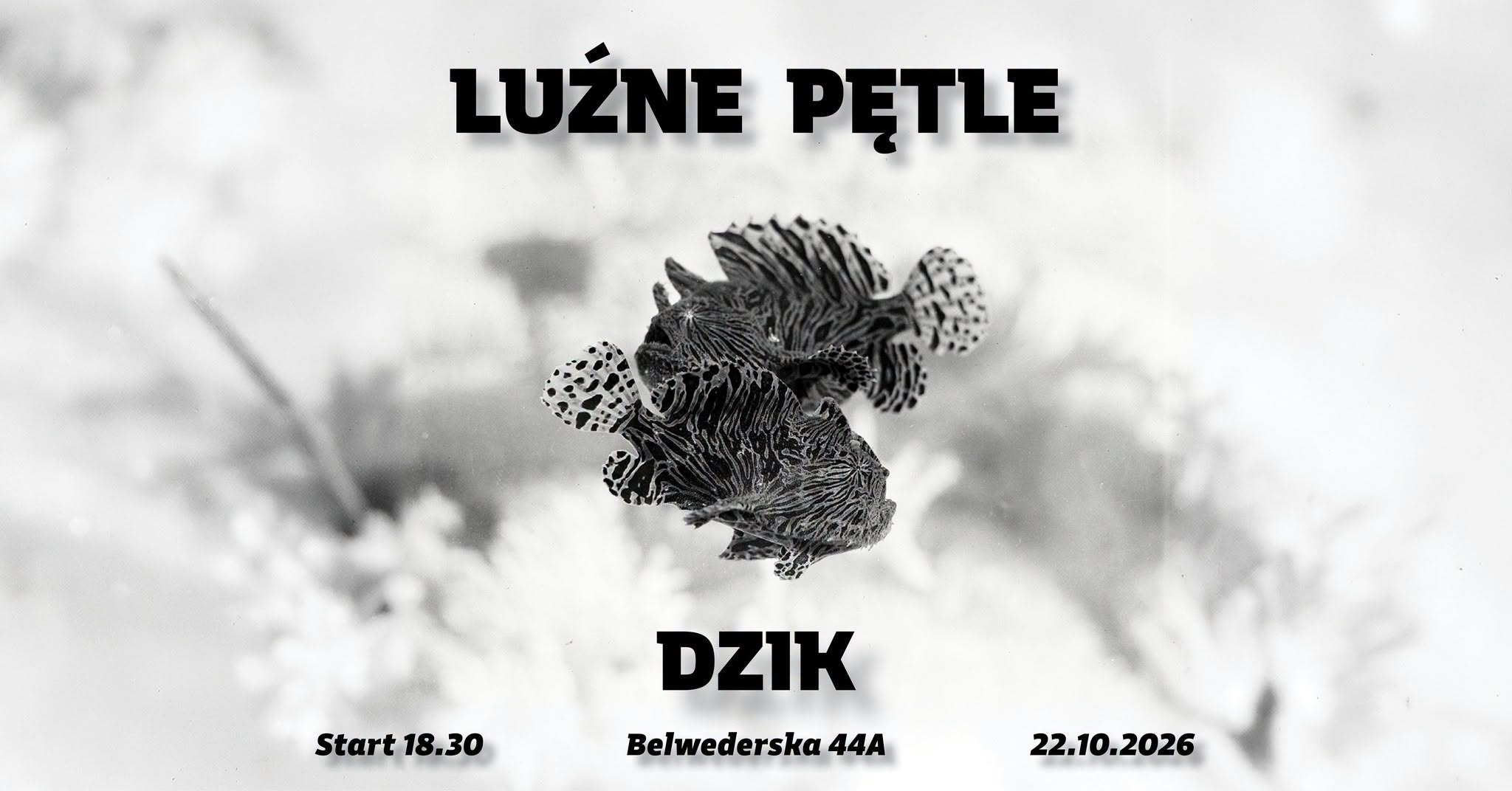 Luźne Pętle • DZiK — THU 22 OCT