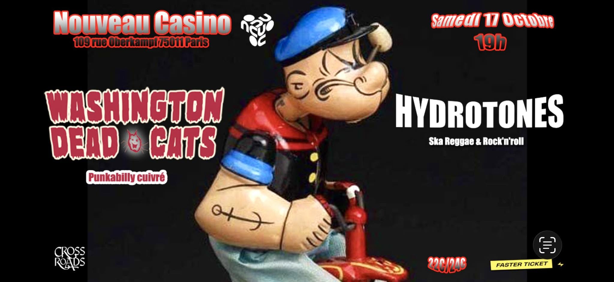 WASHINGTON DEAD CATS + HYDROTONES — SAT 17 OCT