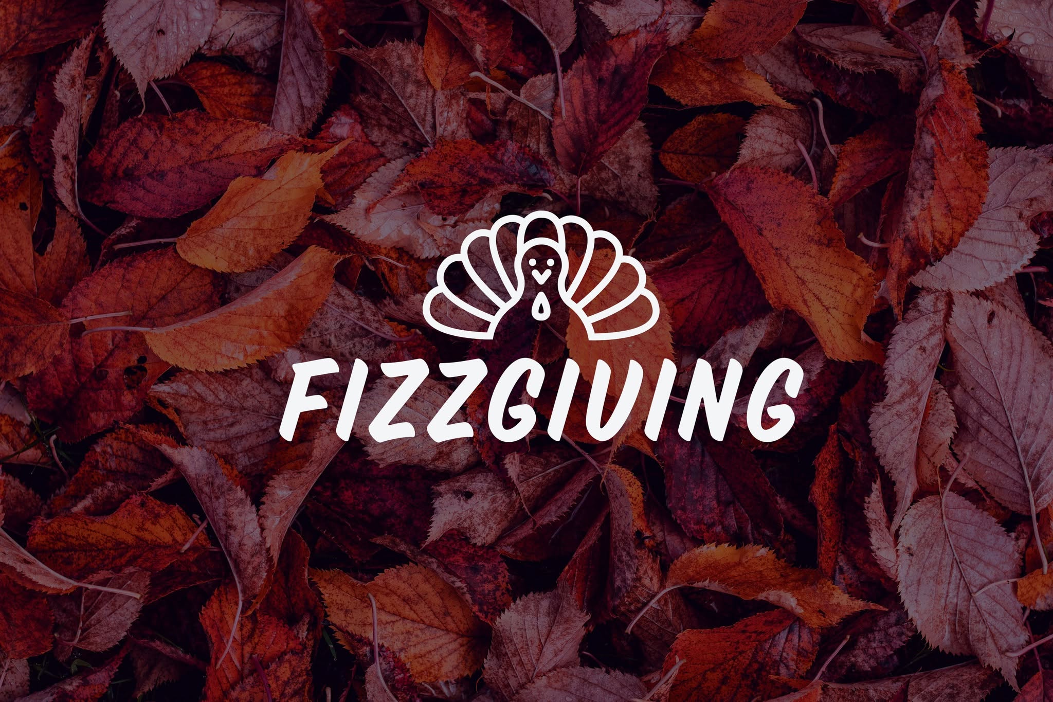 Fizzgiving — TUE 24 NOV