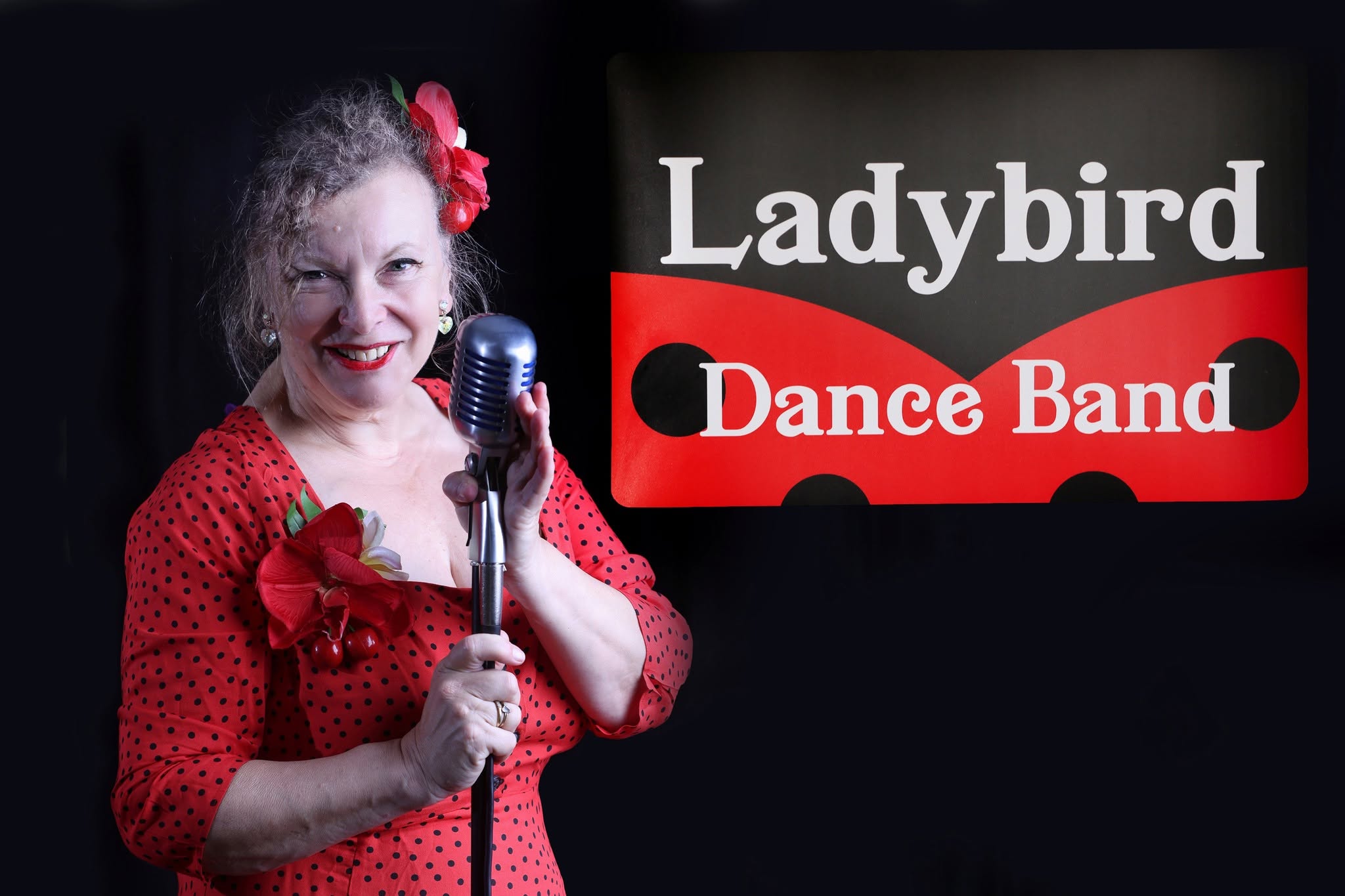 Steventon Swing Dance with the LadyBird Dance Band — SAT 7 NOV