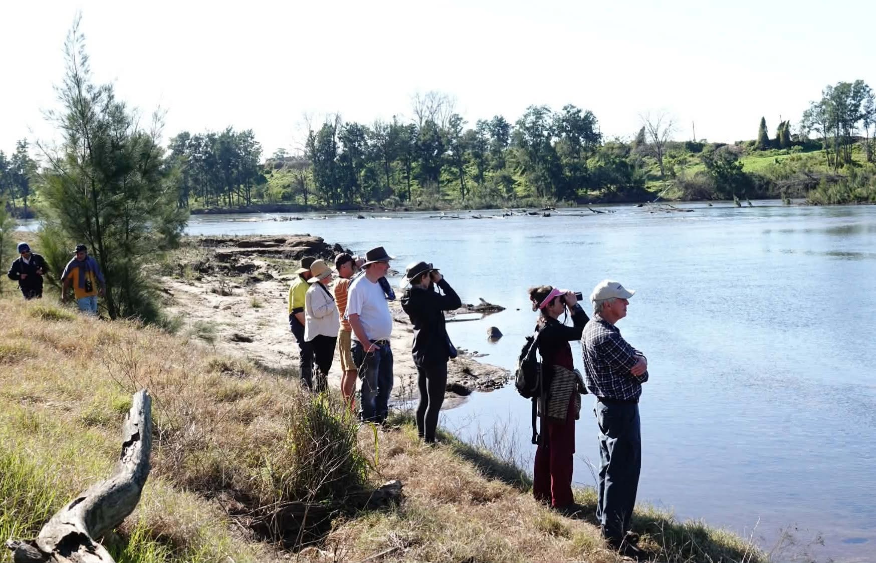 Hawkesbury Big Birding Day — SAT 17 – SUN 18 OCT